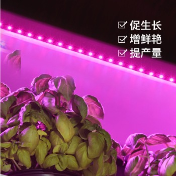 種植植物哪些情況使用植物補光燈？